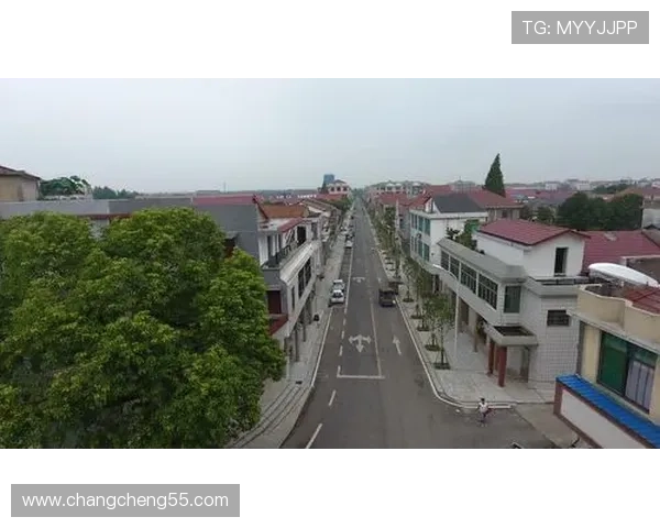 探索必发888手机版的多样化娱乐项目与优惠活动